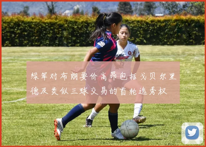 绿军对布朗要价高昂包括戈贝尔里德及类似三球交易的首轮选秀权
